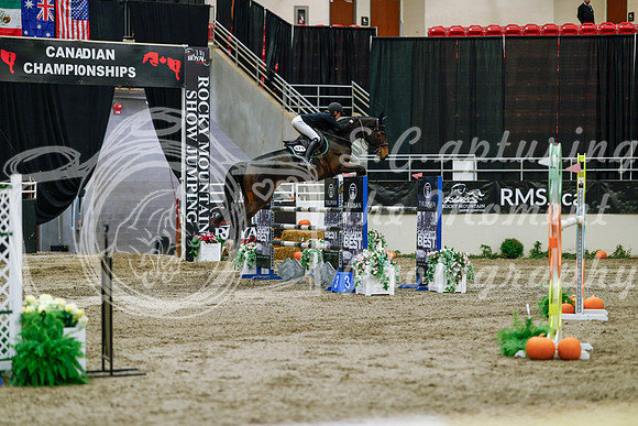 2025 - Haylee - Royal West - Saturday October 25th - 10079