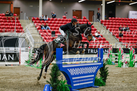 2025 - Haylee - Royal West - Saturday October 25th - 10085