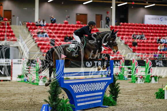 2025 - Haylee - Royal West - Saturday October 25th - 10089