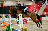 2025 - Haylee - Royal West - Saturday October 25th - 08829