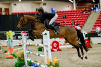 2025 - Haylee - Royal West - Saturday October 25th - 08830