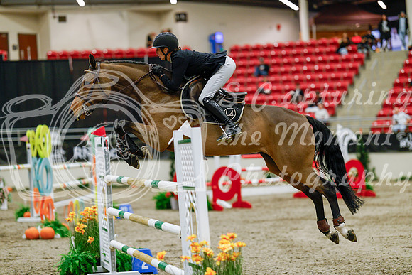 2025 - Haylee - Royal West - Saturday October 25th - 08830
