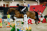 2025 - Haylee - Royal West - Saturday October 25th - 08833