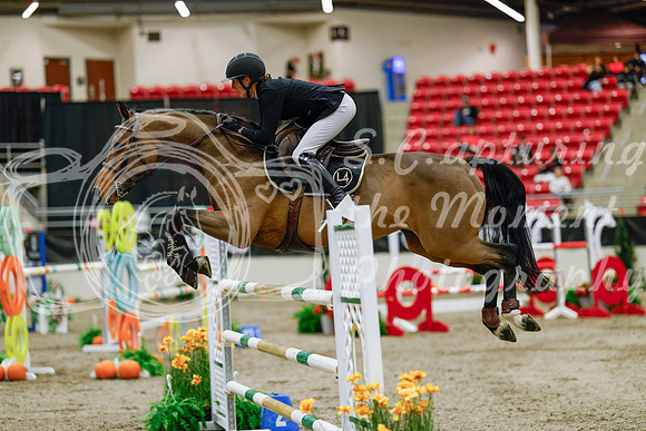 2025 - Haylee - Royal West - Saturday October 25th - 08833