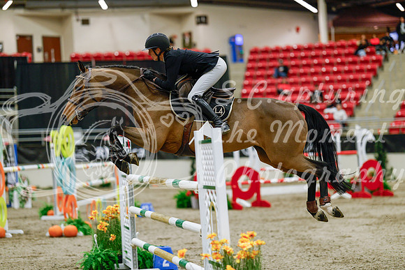 2025 - Haylee - Royal West - Saturday October 25th - 08832