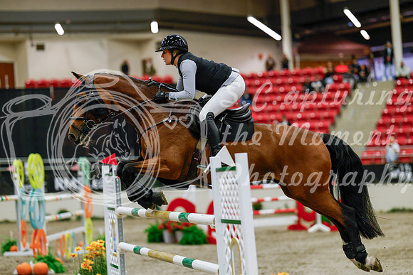 2025 - Haylee - Royal West - Saturday October 25th - 08753