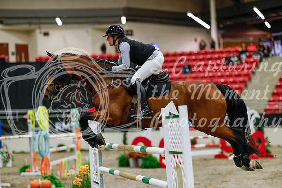 2025 - Haylee - Royal West - Saturday October 25th - 08755
