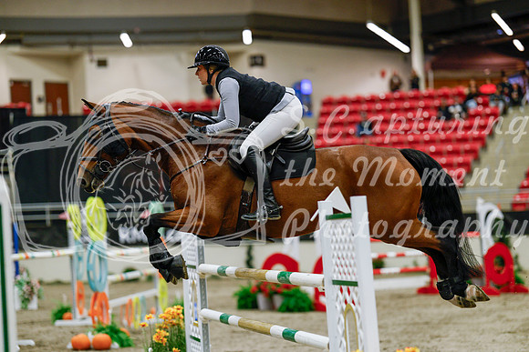 2025 - Haylee - Royal West - Saturday October 25th - 08756