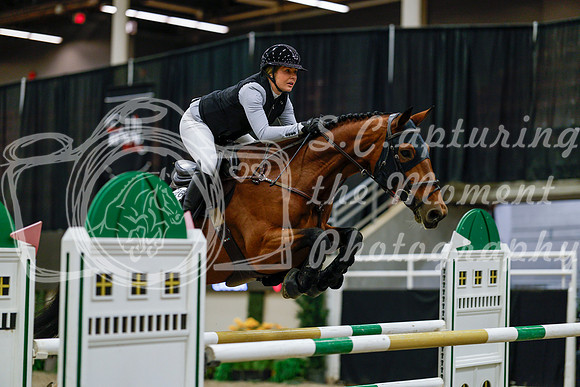 2025 - Haylee - Royal West - Saturday October 25th - 08770