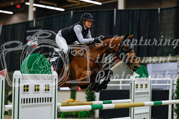 2025 - Haylee - Royal West - Saturday October 25th - 08771