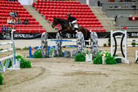 2025 - Haylee - Royal West - Saturday October 25th - 08985