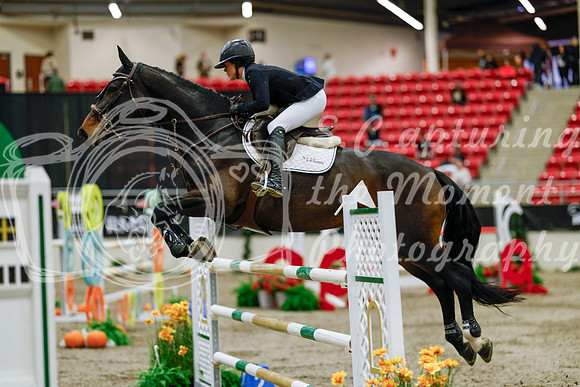 2025 - Haylee - Royal West - Saturday October 25th - 08993