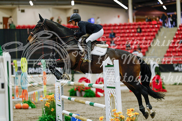 2025 - Haylee - Royal West - Saturday October 25th - 08992