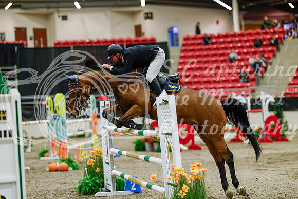 2025 - Haylee - Royal West - Saturday October 25th - 09512