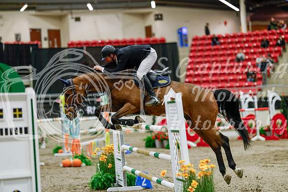 2025 - Haylee - Royal West - Saturday October 25th - 09514