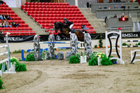 2025 - Haylee - Royal West - Saturday October 25th - 09230