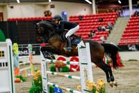 2025 - Haylee - Royal West - Saturday October 25th - 09241