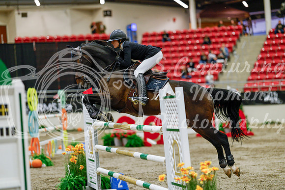 2025 - Haylee - Royal West - Saturday October 25th - 09241