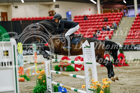 2025 - Haylee - Royal West - Saturday October 25th - 09242