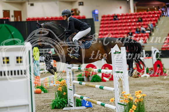 2025 - Haylee - Royal West - Saturday October 25th - 09245