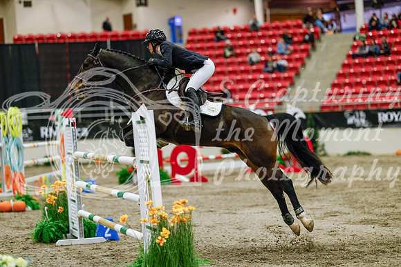 2025 - Haylee - Royal West - Saturday October 25th - 09942