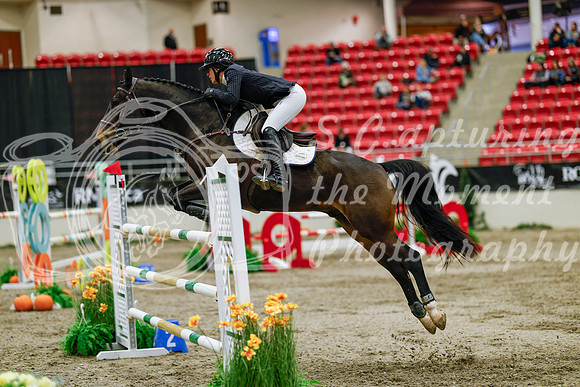 2025 - Haylee - Royal West - Saturday October 25th - 09943