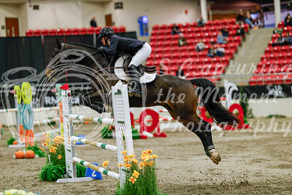 2025 - Haylee - Royal West - Saturday October 25th - 09944