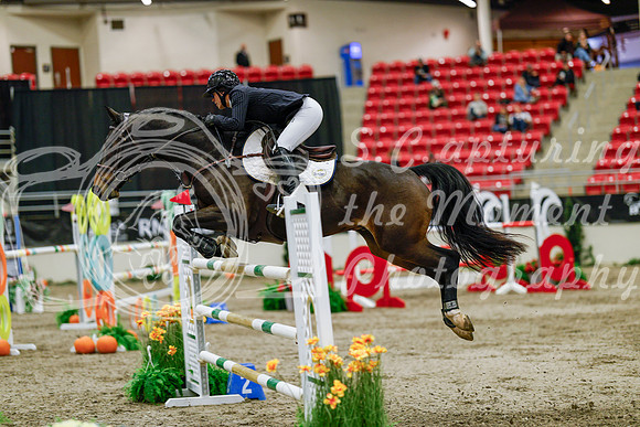 2025 - Haylee - Royal West - Saturday October 25th - 09946