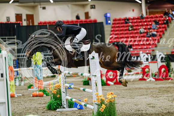 2025 - Haylee - Royal West - Saturday October 25th - 09948