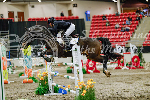 2025 - Haylee - Royal West - Saturday October 25th - 09947