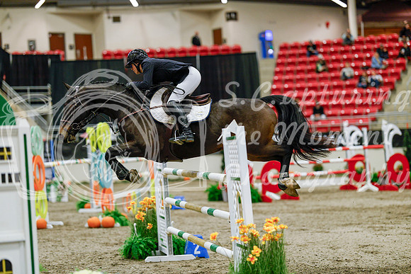 2025 - Haylee - Royal West - Saturday October 25th - 09949