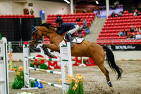 2025 - Haylee - Royal West - Saturday October 25th - 09283