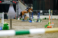 2025 - Haylee - Royal West - Saturday October 25th - 09290