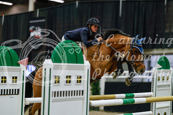 2025 - Haylee - Royal West - Saturday October 25th - 09304