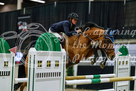 2025 - Haylee - Royal West - Saturday October 25th - 09305