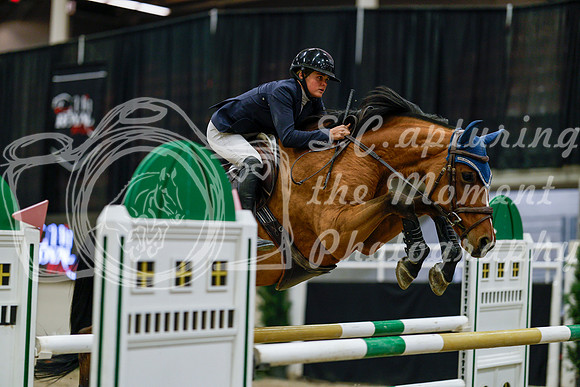 2025 - Haylee - Royal West - Saturday October 25th - 09306