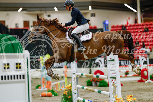 2025 - Haylee - Royal West - Saturday October 25th - 09158