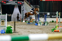 2025 - Haylee - Royal West - Saturday October 25th - 09161