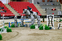 2025 - Haylee - Royal West - Saturday October 25th - 09076