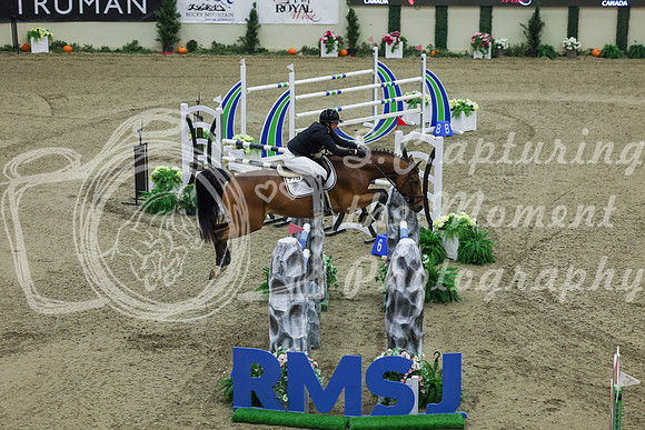 2025 - Shea - Royal West - Saturday October 25th - 08553