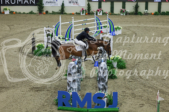 2025 - Shea - Royal West - Saturday October 25th - 08554