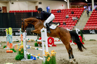 2025 - Haylee - Royal West - Saturday October 25th - 09371