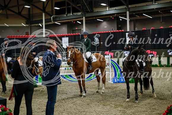 2025 - Haylee - Royal West - Saturday October 25th - 10560