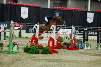 2025 - Shea - Royal West - Saturday October 25th - 12333