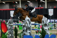 2025 - Shea - Royal West - Saturday October 25th - 12341