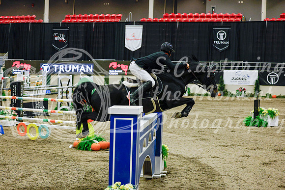 2025 - Haylee - Royal West - Saturday October 25th - 13109