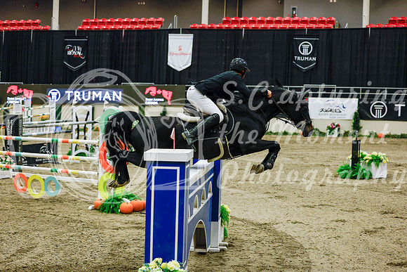 2025 - Haylee - Royal West - Saturday October 25th - 13110