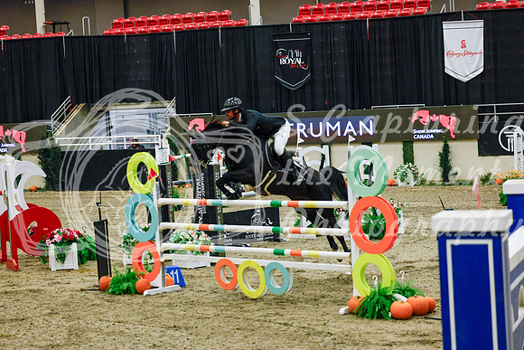 2025 - Haylee - Royal West - Saturday October 25th - 13111