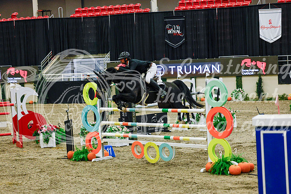 2025 - Haylee - Royal West - Saturday October 25th - 13115