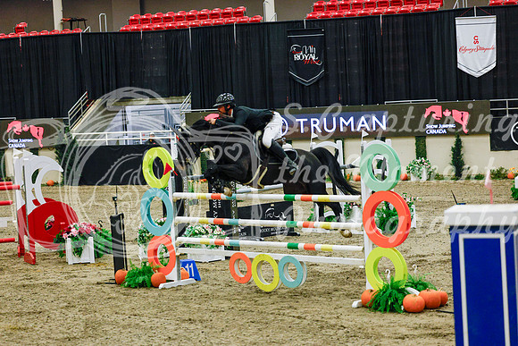 2025 - Haylee - Royal West - Saturday October 25th - 13114